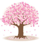 花見の仇討 桜の木