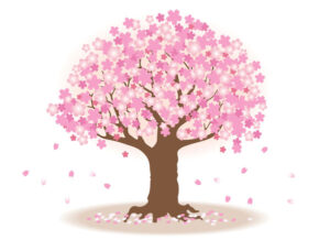 桜の木